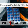 Kamagra Oral Jelly Effects viagra2